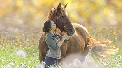 CAVALLO Themenschwerpunkt Pferdebauch Themenschwerpunkt Pferdebauch