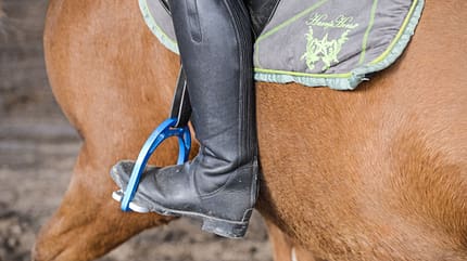 CAVALLO Themenschwerpunkt Pferdebauch Themenschwerpunkt Pferdebauch