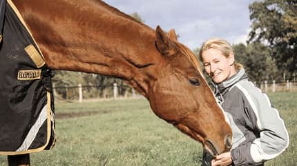 CAVALLO Themenschwerpunkt Pferdebauch Themenschwerpunkt Pferdebauch