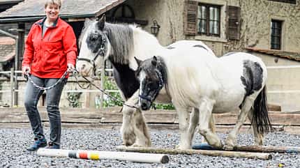 CAVALLO Hospiz Hospiz