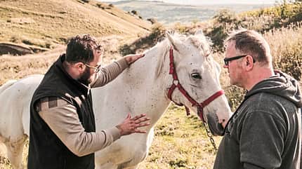 CAVALLO Report Equiwent Report Equiwent