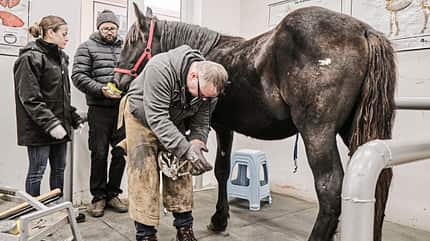 CAVALLO Report Equiwent Report Equiwent