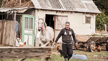 CAVALLO Report Equiwent Report Equiwent