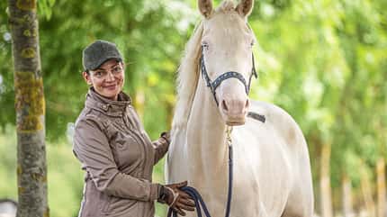 CAVALLO Rückentraining Rückentraining