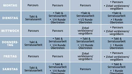 CAVALLO Rückentraining Rückentraining