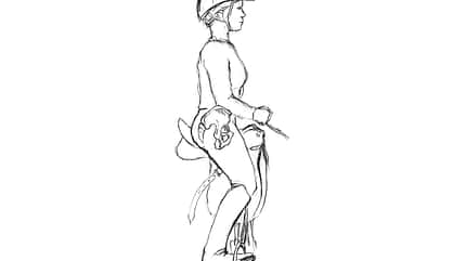 CAVALLO TSP Flexible Hilfengebung TSP Flexible Hilfengebung