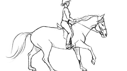 CAVALLO TSP Flexible Hilfengebung TSP Flexible Hilfengebung
