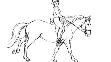 CAVALLO TSP Flexible Hilfengebung TSP Flexible Hilfengebung