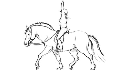 CAVALLO TSP Flexible Hilfengebung TSP Flexible Hilfengebung