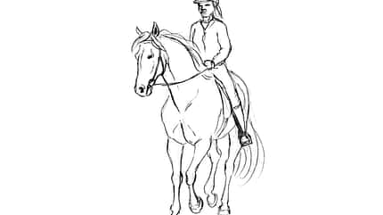 CAVALLO TSP Flexible Hilfengebung TSP Flexible Hilfengebung