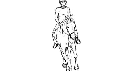 CAVALLO TSP Flexible Hilfengebung TSP Flexible Hilfengebung
