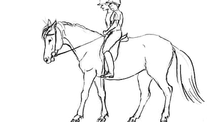 CAVALLO TSP Flexible Hilfengebung TSP Flexible Hilfengebung