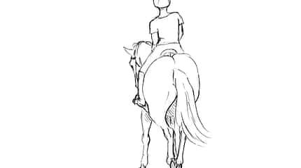 CAVALLO TSP Flexible Hilfengebung TSP Flexible Hilfengebung