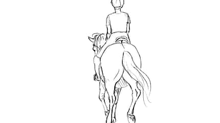 CAVALLO TSP Flexible Hilfengebung TSP Flexible Hilfengebung