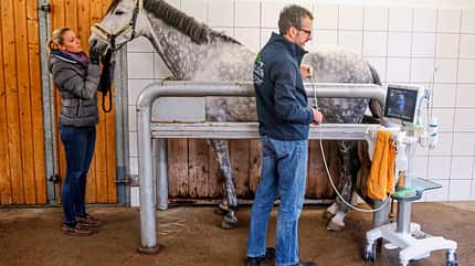 CAVALLO Kompendium Pankreatitis Kompendium Pankreatitis