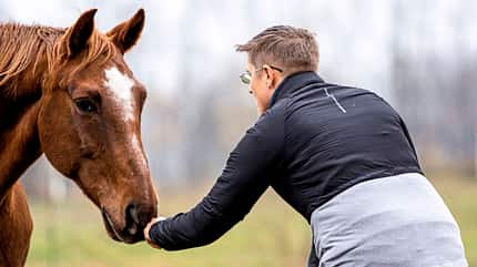 CAVALLO Konzept Horse Speak Konzept Horse Speak