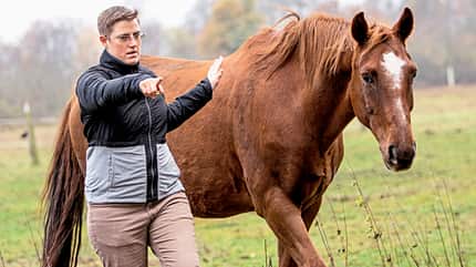 CAVALLO Konzept Horse Speak Konzept Horse Speak