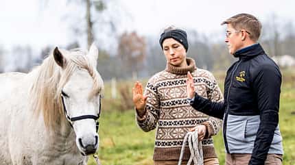 CAVALLO Konzept Horse Speak Konzept Horse Speak