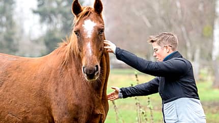 CAVALLO Konzept Horse Speak Konzept Horse Speak