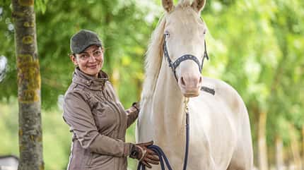 CAVALLO Serie Rückentraining für Tragkraft Serie Rückentraining für Tragkraft
