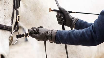 CAVALLO Serie Rückentraining für Tragkraft Serie Rückentraining für Tragkraft