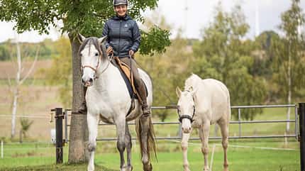 CAVALLO Serie Rückentraining für Tragkraft Serie Rückentraining für Tragkraft