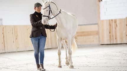 CAVALLO Serie Rückentraining für Tragkraft Serie Rückentraining für Tragkraft