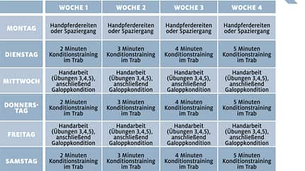 CAVALLO Serie Rückentraining für Tragkraft Serie Rückentraining für Tragkraft