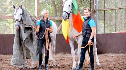 CAVALLO Zwillingshengste Zwillingshengste