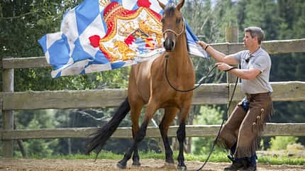 CAVALLO Fitness für die Seele Fitness für die Seele