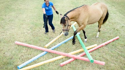CAVALLO Fitness für die Seele Fitness für die Seele