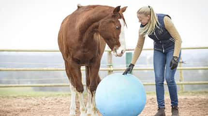 CAVALLO Fitness für die Seele Fitness für die Seele