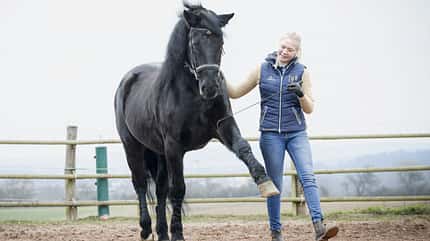 CAVALLO Fitness für die Seele Fitness für die Seele
