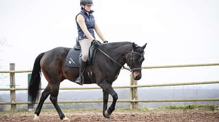CAVALLO Fitness für die Seele Fitness für die Seele