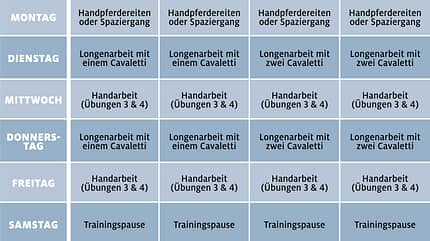 Tragkraft-Training
