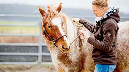 CAVALLO Anbinden ohne Stress Anbinden ohne Stress