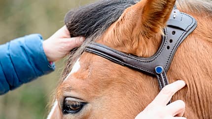 CAVALLO Anatomische Zäume Anatomische Zäume