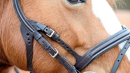 CAVALLO Anatomische Zäume Anatomische Zäume