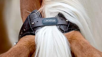 CAVALLO Anatomische Zäume Anatomische Zäume