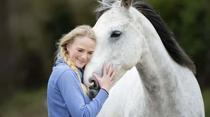 CAVALLO Amour Amour