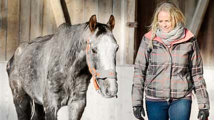 CAVALLO Amour Amour
