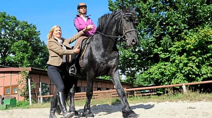 CAVALLO Debatte Reitsimulator Debatte Reitsimulator