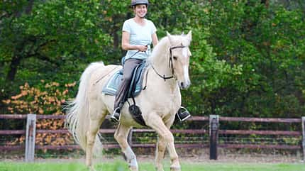CAVALLO TSP Neues Horsemanship TSP Neues Horsemanship
