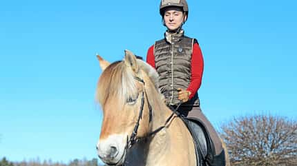 CAVALLO Pferde wieder sensibilisieren Pferde wieder sensibilisieren