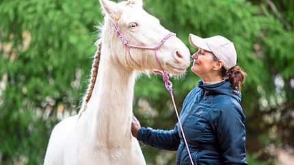 CAVALLO Tragkraft-Training Tragkraft-Training