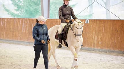 CAVALLO Tragkraft-Training Tragkraft-Training