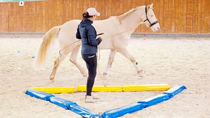 CAVALLO Tragkraft-Training Tragkraft-Training