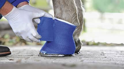 Verband,verbinden,wickeln,Fixierbinde,Gips Verletzungen richtig bandagieren