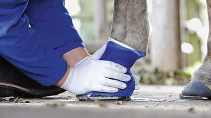 Verband,verbinden,wickeln,Fixierbinde,Gips Verletzungen richtig bandagieren