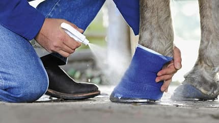 Verband,verbinden,sprühen,Gips Verletzungen richtig bandagieren